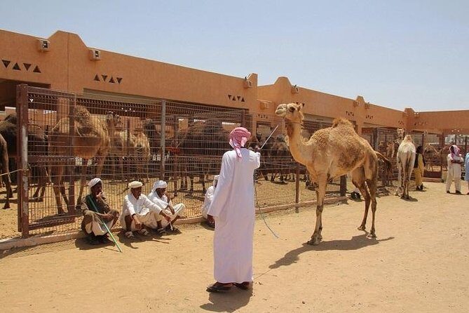 Private Tour: Full Day Al Ain City Tour From Dubai - Transportation & Logistics