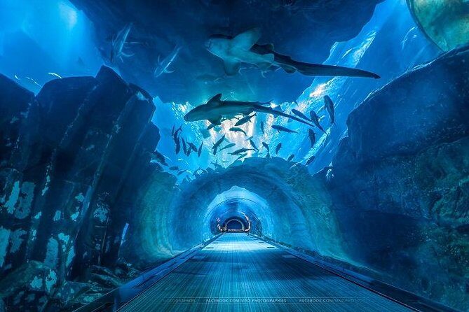 Private Tour: Full Day Dubai City Excursion Including Dubai Museum - Who Should Book This Tour?