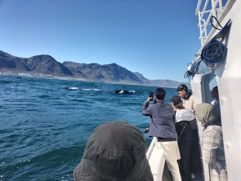 Private Tour: Hermanus- Boat Based Whale Watching Experience - Who Is This Tour Best For?