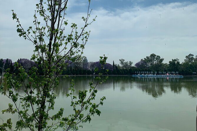 Private Tour in Chapultepec and Museum of Anthropology - Who Will Love This Tour?