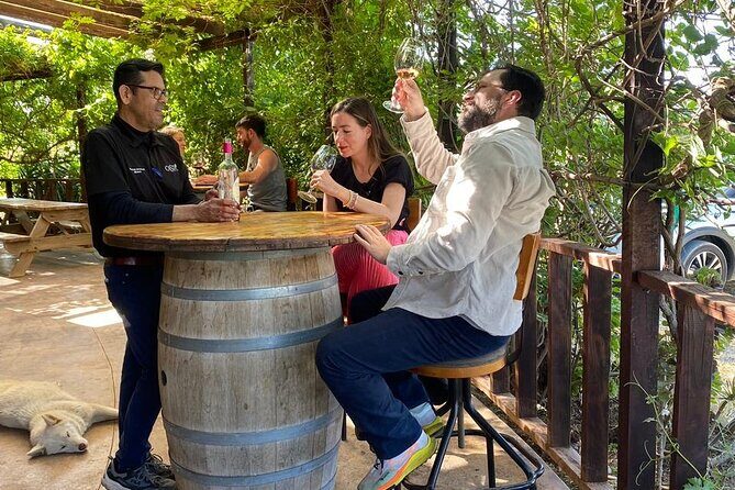 Private Tour in Guadalupe Valley, Vine Yards & Wine Route ENS MX - What Could Be a Consideration?