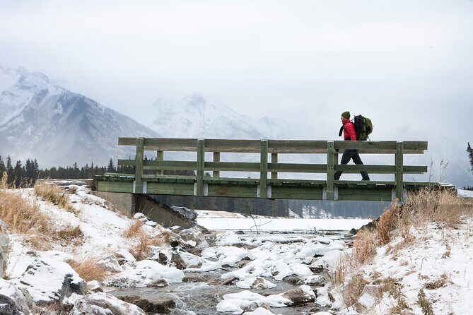 PRIVATE TOUR: Kananaskis Safari Drive and Guided Nature Walk 4H - Why This Tour Works Well