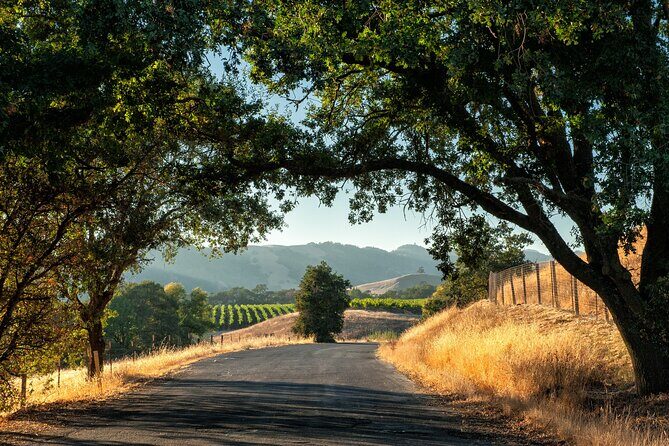 Private Tour Napa and Sonoma Valley Wine - Analyzing the Value