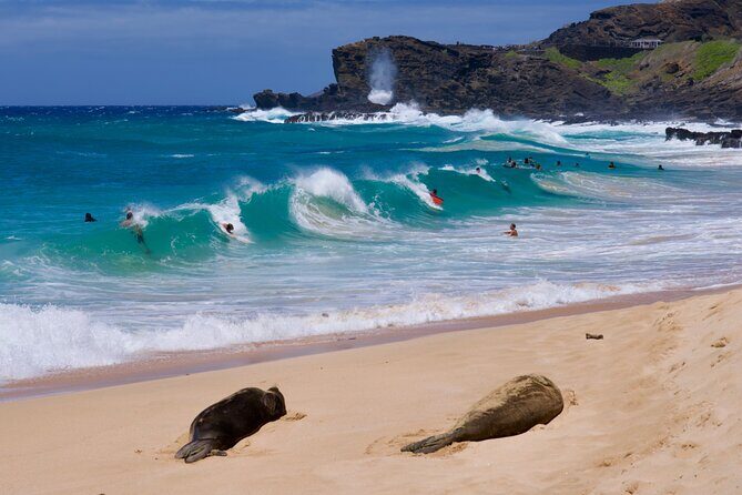 Private Tour Oahu-Full or Half Day-Customizable-Circle Island - A Detailed Breakdown of the Itinerary