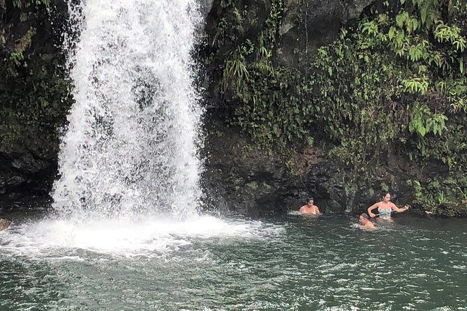 Private Tour : OAHU, MAUI, KAUAI or BIG ISLAND : Pick any Island - What’s Included and How It Adds Value