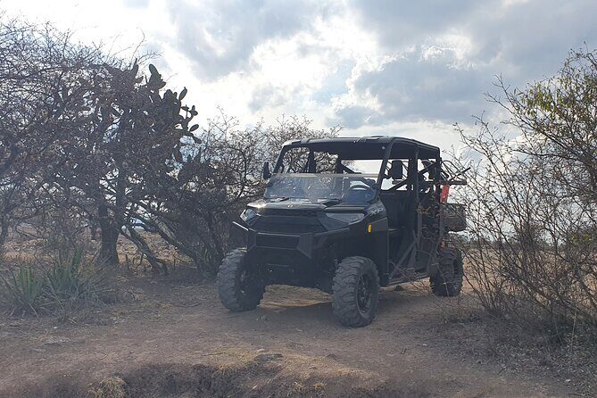 Private Tour of Huasca de Ocampo in Razer Ranger - Who Will Love This Tour?