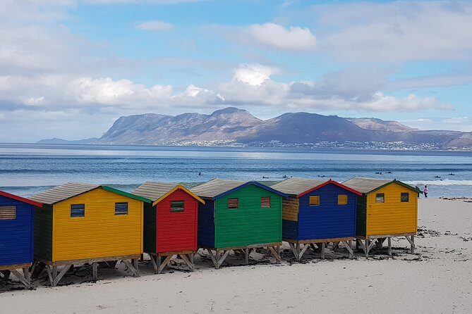 Private Tour Of Penguins, Cape Of Good Hope & Peninsula. - The Experience and Why It Works
