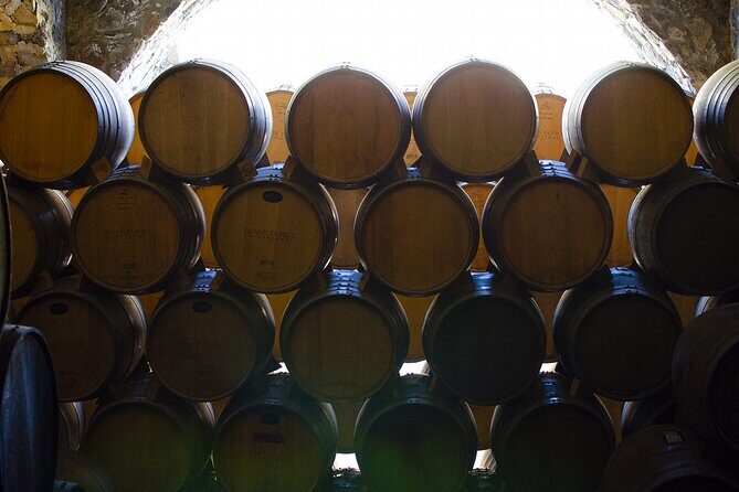 Private Tour one day in Los Guachimontones and Tequilera Cava de Oro - What Travelers Say