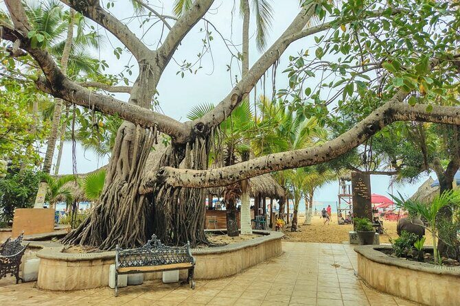 Private Tour, Sayulita & San Pancho - What’s Included and What to Expect