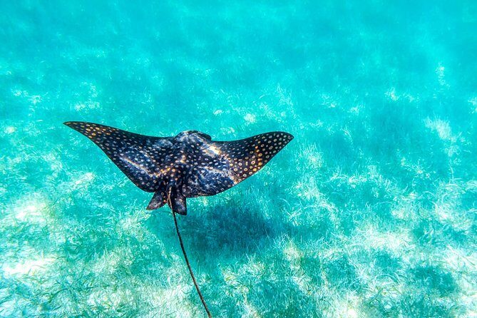 Private tour - Sian Ka´an Adventure - Who Should Book This Tour?