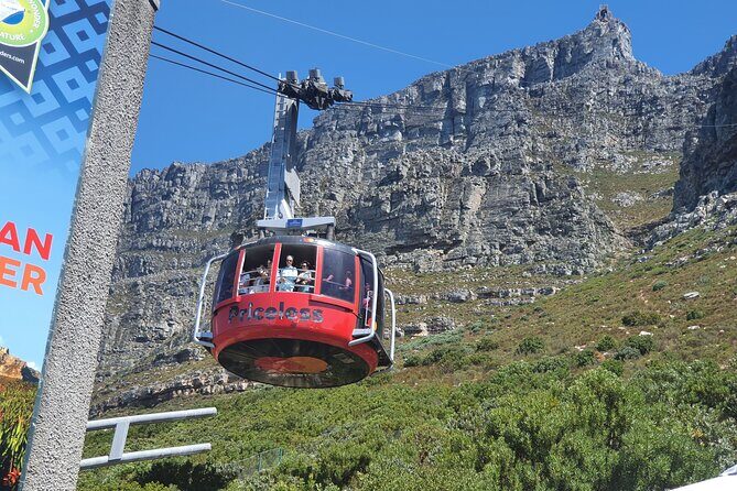 Private Tour: Table Mountain Boulder's Beach Penguin Cape Point - Authentic Experiences and Practical Tips