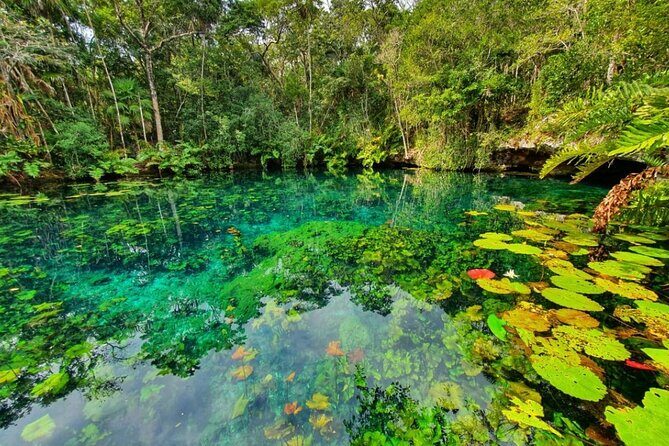 Private Tour Tankah 3 Zip Lines 3 Cenotes Canoe Snorkel Community - What Travelers Say
