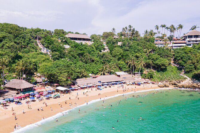 Private Tour to Carrizalillo Mirador Turtles and Release Turtles - Deep Dive into the Details