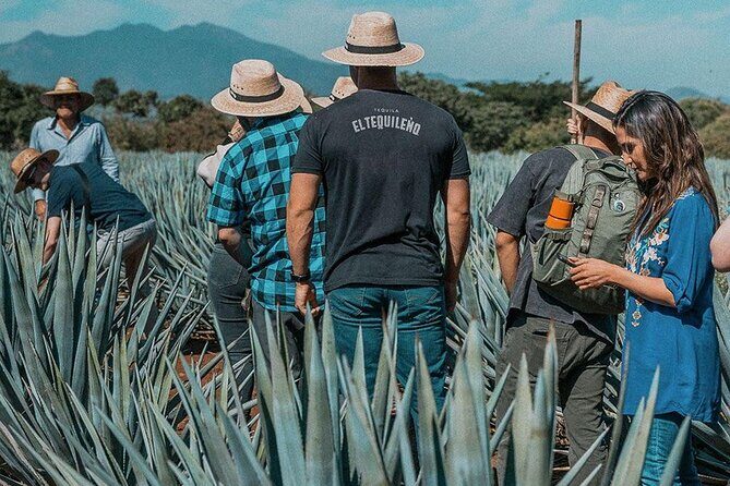 Private Tour to El Tequileño Distillery and visit to Tequila - The Practicalities: What’s Included and What’s Not