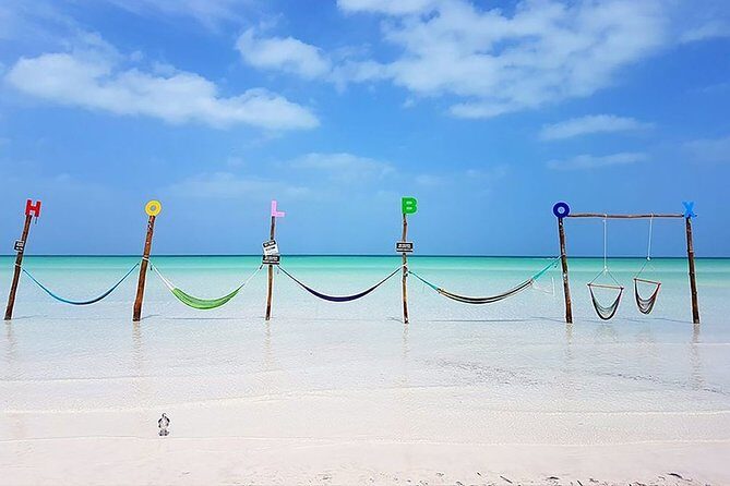 Private Tour To Holbox From Cancun - Key Points
