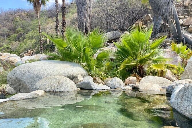 Private Tour to Hot Springs and Waterfall in Santiago - Who Will Love This Tour?