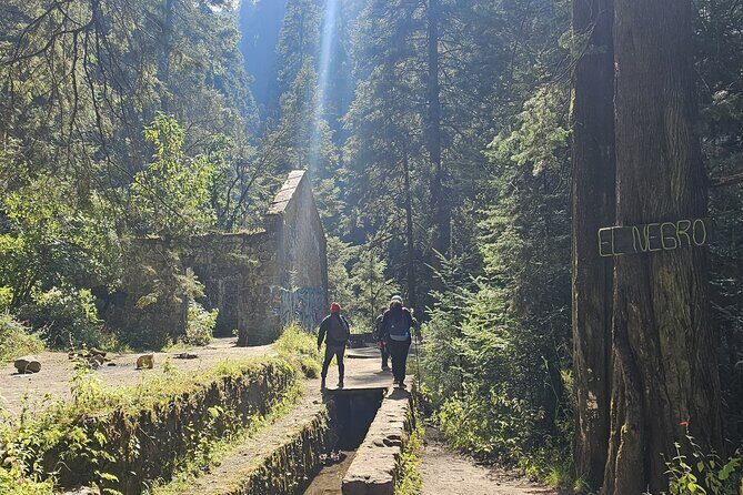 Private Tour to Los Diamantes Waterfall from CDMX - What Others Say
