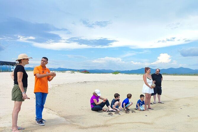 Private tour to release turtles with tickets included - Who Will Love This Tour?