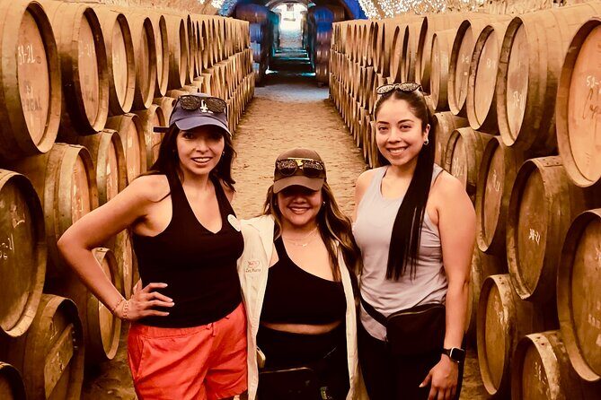 Private Tour to Tequila and Guachimontones - Practical Details and Value