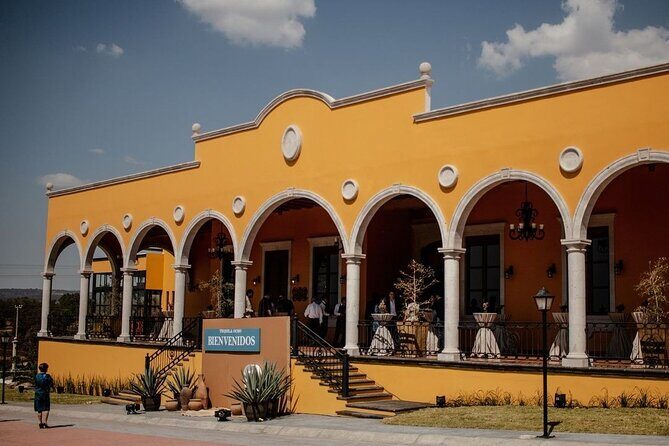 Private Tour to Tequila Ocho Distillery and the Town of Arandas - In-Depth Look at the Tour Experience