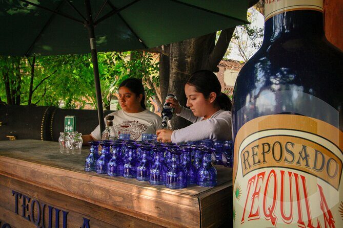 Private Tour to Tequilera Corralejo and Piramides Zone - Transportation, Timing, and Group Size