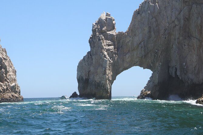 Private Tour to the Arch of Cabo San Lucas by Glass Bottom Boat - An In-Depth Look at the Tour Experience