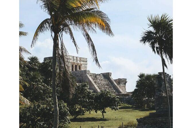 Private Tour to Tulum, Cenote and Swimming with Turtles - Practical Details and What You Should Know