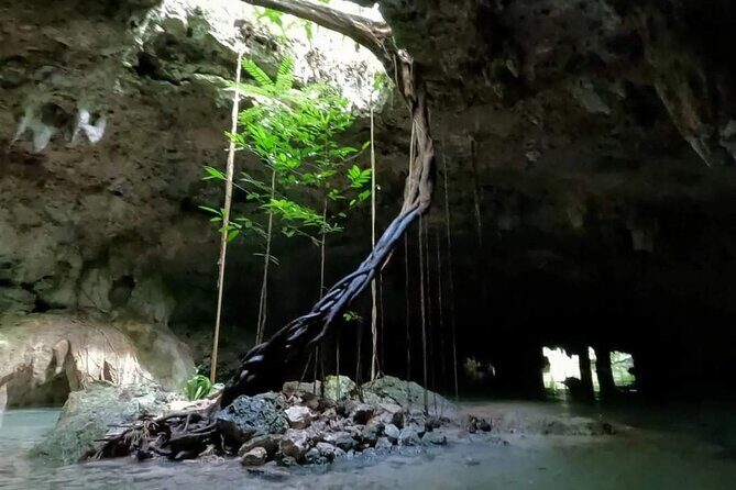 Private Tour to Tulum Cenotes Sac Actun - The Itinerary in Detail