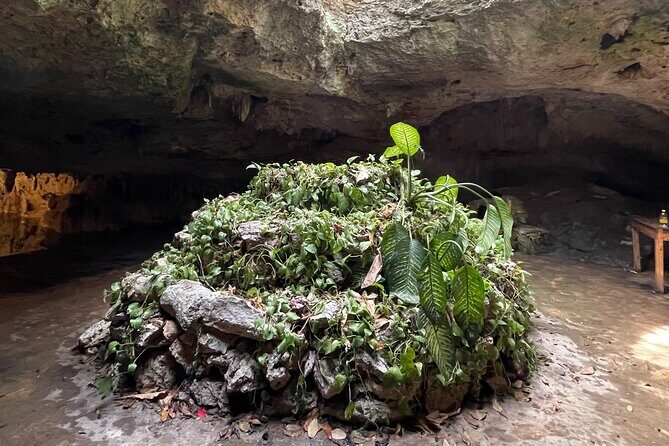 Private Tour to Tulum Ruins And Cenote Yax Muul with Lunch - The Sum Up