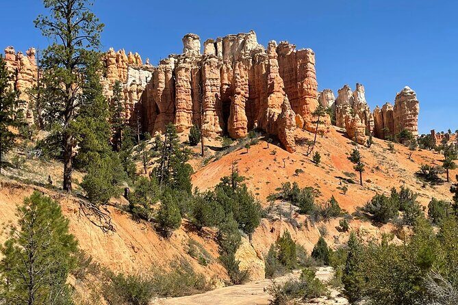 Private Tour to Zion National Park from Las Vegas - Price & Value