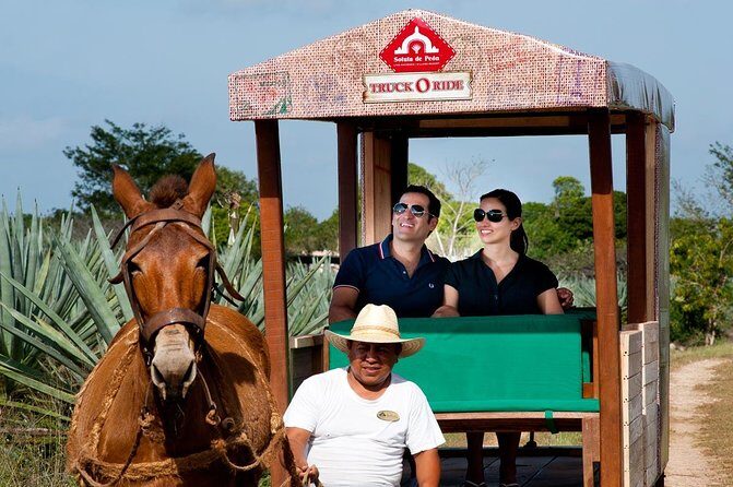 Private Tour: Uxmal & Hacienda Sotuta de Peon by Yucatan Concierge - Exploring Hacienda Sotuta de Peon: Industry Meets Nature