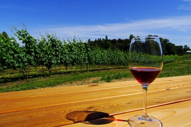 Private Tour: Vancouver Half Day Wine Tasting Tour - Practical Details and Tips