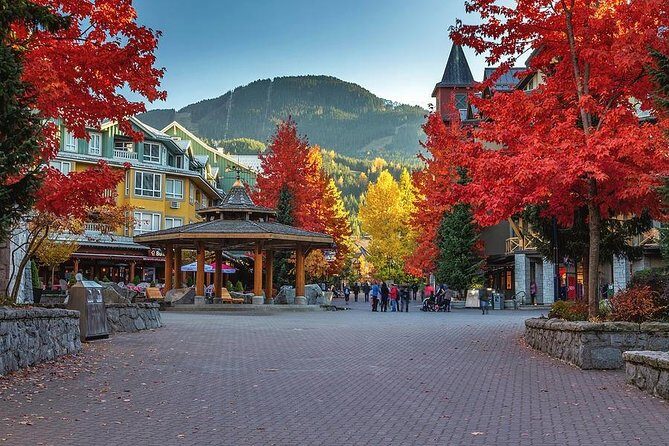 Private Tour: Whistler Day Trip from Vancouver - Who Is This Tour Best For?