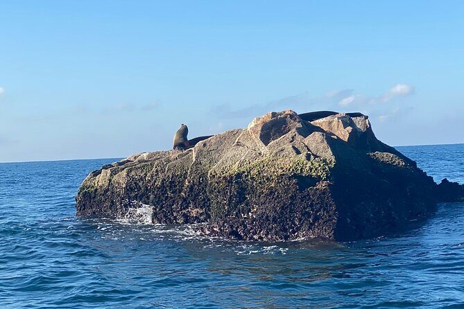 Private tour with sea lions and snorkeling - Who Should Consider This Tour?