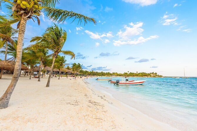 Private Transfer: Cancun Airport CUN to Akumal in SUV - Who Is This Transfer Best For?