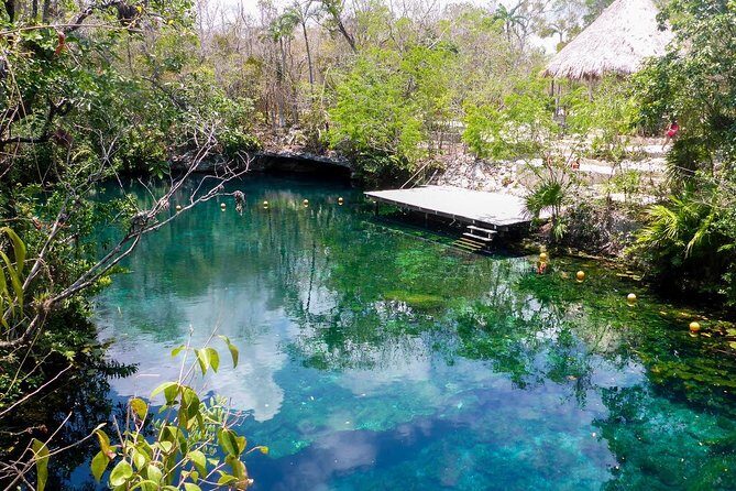 Private transfer for 5 hours (go dinner,cenotes, shopping and more) - The Experience Breakdown