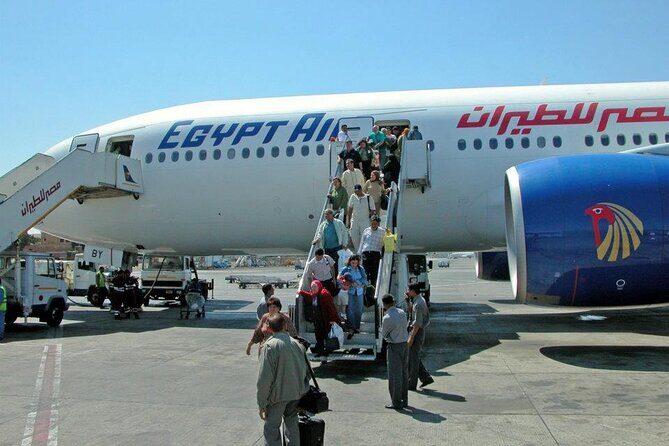 Private Transfer from Cairo international airport & From Hotel - Reviews from Travelers: What They Say