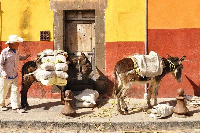 Private Transfer from Guanajuato City to San Miguel de Allende - Authentic Experiences and Real Feedback