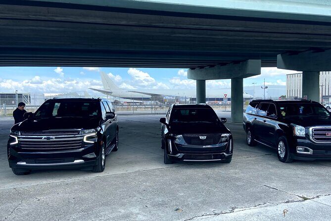 Private Transfer From Miami Airport with Meet & Greet Service - Possible Drawbacks