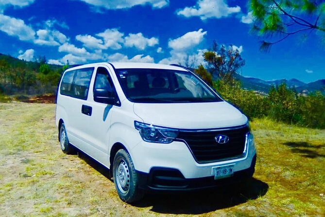 Private Transfer from the Airport to your Hotel/house . - Authentic Experiences and Reviews