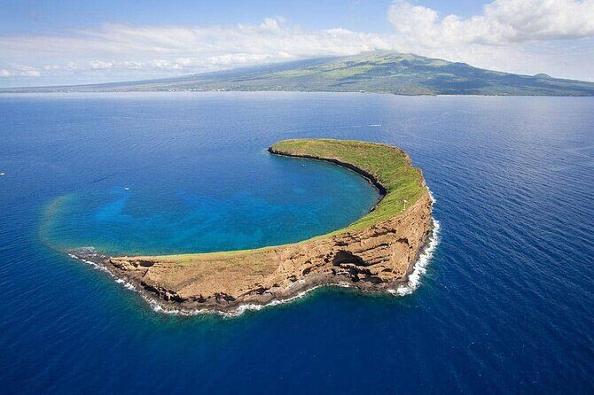 Private Transfer Kahului Airport OGG to Maui Kihei Lahaina Wailea - Breakdown of the Journey and Service Details