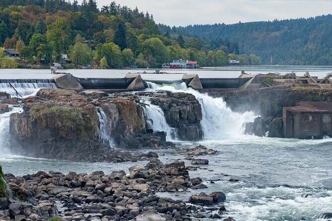 Private Transfer Portland Airport PDX to Oregon City - Vehicle and Comfort