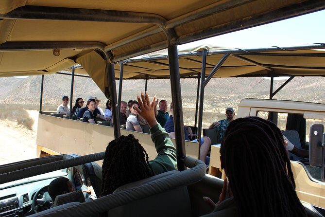 Private Transfer to Safari Big 5 at Aquila from Cape Town Excluding Entry Fees - What the Safari Experience Offers (or Doesn’t)