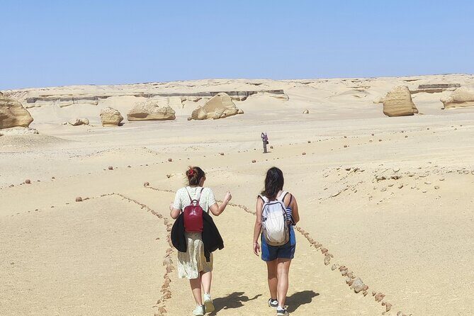 Private Trip to Fayum and Valley of the Whales with Sand Skate - What Travelers Love (and Sometimes Wonder About)