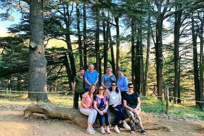 Private Trip to Qadisha Valley, Bcharri and Cedars of God - Practical Details and Value