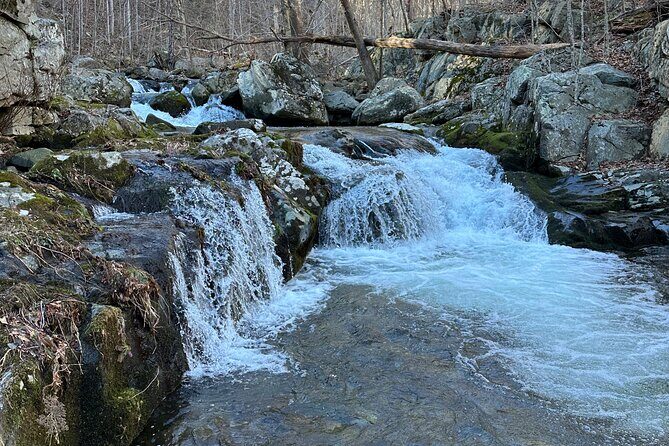 Private Trout Fishing Excursion in Virginia - What to Expect from Your Virginia Trout Fishing Adventure