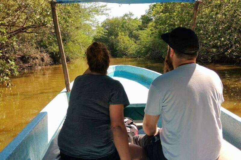-Private Turtle Release Lagoon Boat Ride &High Divers Exprce - Baby Turtle Release: A Heartwarming Moment