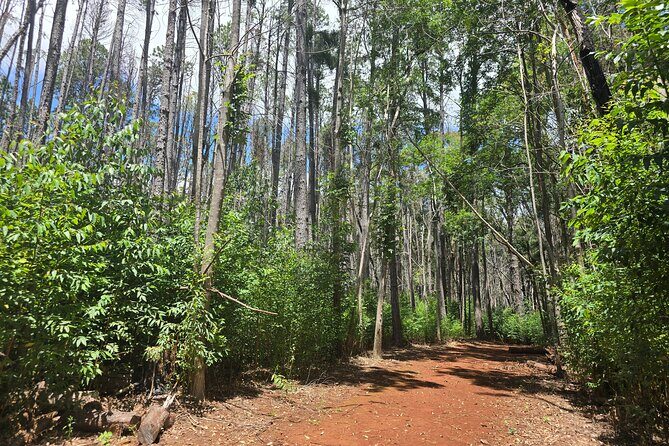 Private Upcountry Hiking Tour - Who Is This Tour Best For?