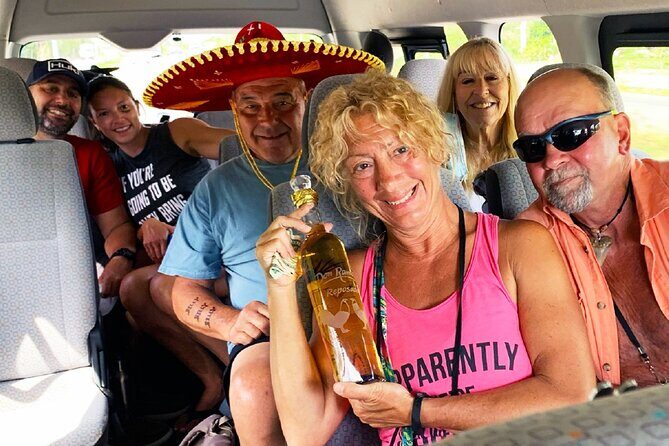 Private Van Service - Who Should Consider This Tour?