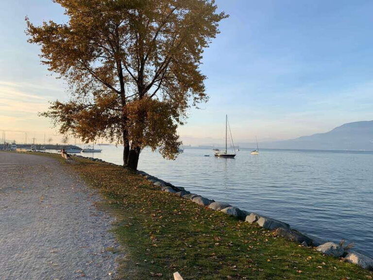 Private, Vancouver Sunset Bike / E-Bike Tour - What Travelers Are Saying
